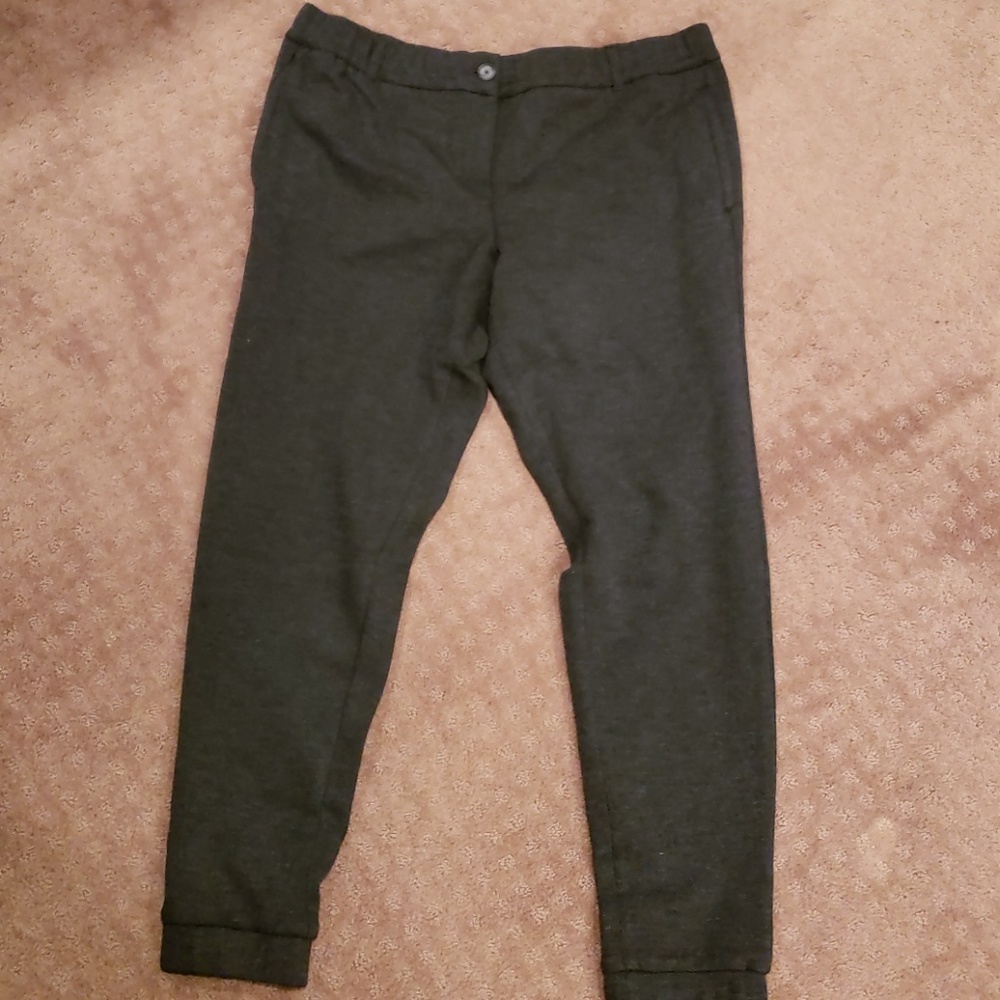 NWT Loft Gray Knit Ankle Pants